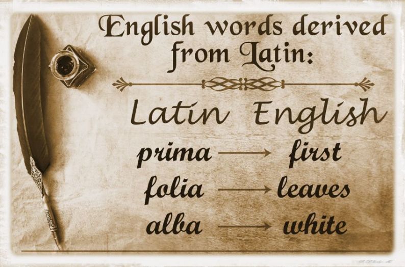 Echoes of Latin